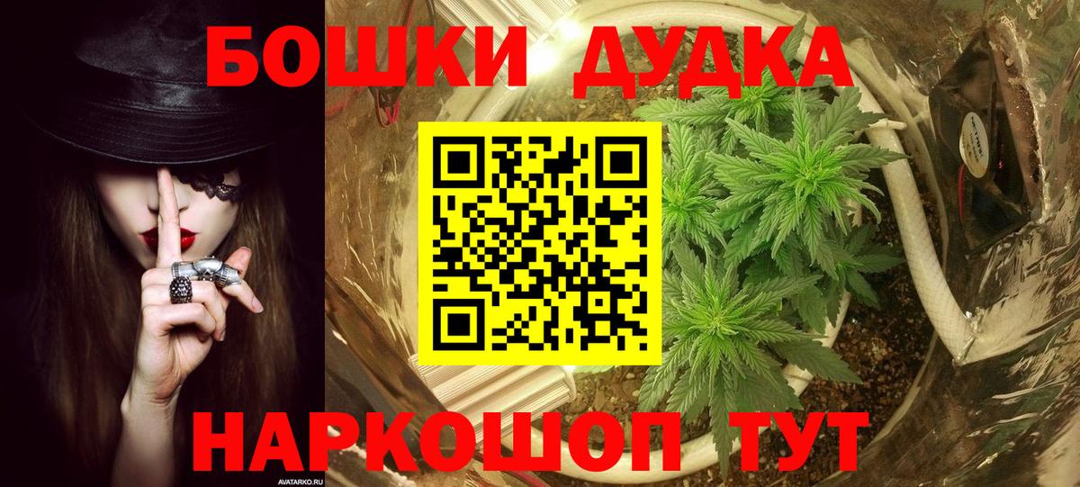 Марихуана ГИДРОПОН  Канабис сатива  Шишки марихуана SATIVA & INDICA  Вход с VPN  Новодвинск 